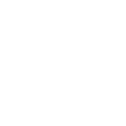 Flow Brazilian Jiu Jitsu